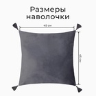 Набор декоративных наволочек Этель с кисточками, цвет серый, 45×45 см - 2 шт., полиэстер, велюр - Фото 2
