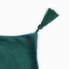 Набор декоративных наволочек Этель с кисточками, цвет зелёный, 45×45 см - 2 шт., полиэстер, велюр - Фото 3