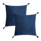 Чехол на подушку 2шт. с кисточками Этель цвет синий, 45х45 см, 100% п/э, велюр - фото 1772187