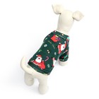 Кофта новогодняя для животных «Подарки», размер XS, зелёный (ДС 20, ОШ 22, ОГ 30 см) - Фото 4