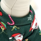 Кофта новогодняя для животных «Подарки», размер XS, зелёный (ДС 20, ОШ 22, ОГ 30 см) - Фото 5