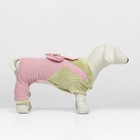 Комбинезон Love, размер S, ДС 25 см, ОГ 35 см, ОШ 25 см, зелёный, розовый - Фото 2