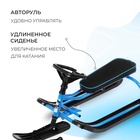 Снегокат «Тимка спорт», ТСЛ+/С, цвет синий - Фото 3