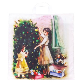Пакет новогодний «Чудо», полиэтиленовый с петлевой ручкой, 45?45 см, 60 мкм (комплект 25 шт)