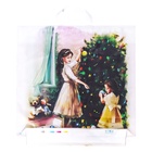 Пакет "Чудо", полиэтиленовый с петлевой ручкой, 45х45 см, 60 мкм (25 шт) - фото 809229183