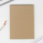 Блокнот А5, 40 л. на гребне в клетку «Аниме» - Фото 3