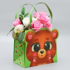 Переноски для цветов «Мишка», 20 × 12 × 12 см - фото 8334297