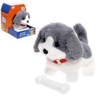 УЦЕНКА Интерактивная игрушка «Милый питомец», МИКС - Фото 1