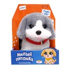 УЦЕНКА Интерактивная игрушка «Милый питомец», МИКС - Фото 12