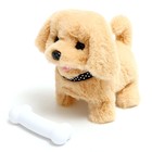 УЦЕНКА Интерактивная игрушка «Милый питомец», МИКС - Фото 9