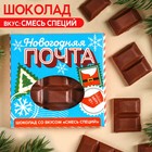 Молочный шоколад «Новогодняя почта», вкус: смесь специй, 50 г. 9857340 - фото 10956168