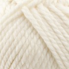 Пряжа "Бюджетная Макси" 40% шерсть, 60% акрил 140м/150гр  (белый - 205) - фото 23128002