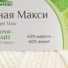Пряжа "Бюджетная Макси" 40% шерсть, 60% акрил 140м/150гр  (белый - 205) - фото 23128003