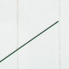 Проволока для изготовления искусственных цветов "Зелёная" длина 40 см сечение 0,2 см - Фото 3