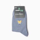 Носки унисекс "Лиса", цвет  серо-голубой, размер 36-42 - фото 806536159
