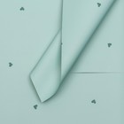 Пленка для цветов и букетов, 57×57 ±1 см, «Сердечки», зелёная, в листах, 65 мкм - Фото 1