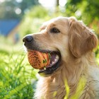 Игрушка пищащая "Гамбургер с салатом" для собак, 9,5 см - фото 8243553