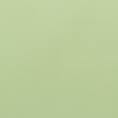 Плёнка двухсторонняя 57 см×10 м зелёный (±1 см)