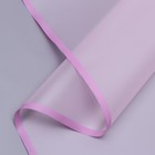 Пленка для цветов Розовая полоса, прозрачный, матовый, 58×10 м - Фото 1