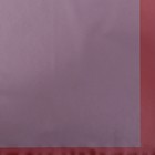 Пленка для цветов и букетов, красная полоса, матовый, 58 см×10 м - Фото 3