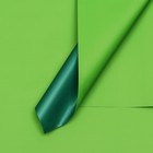Пленка двухсторонняя 0,57 х 0,57 см зелёный - фото 301029687