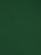 Пленка двухсторонняя для цветов и декора, 0.57×0.57 см, зелёный - Фото 5