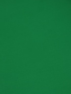 Пленка двухсторонняя для цветов и декора, 0.57×0.57 см, зелёный - Фото 6