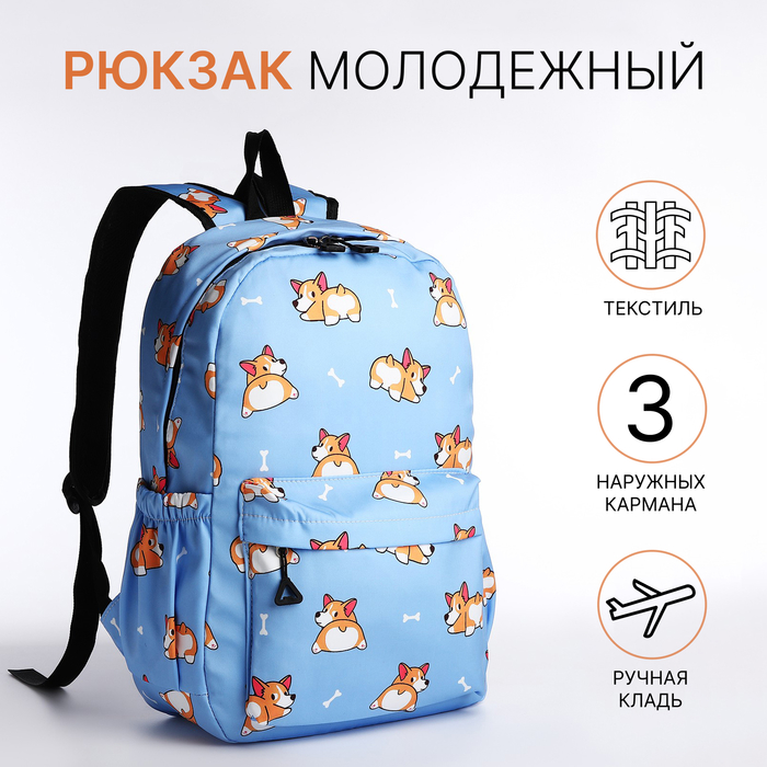 

Рюкзак школьный из текстиля, 3 кармана, цвет белый/голубой