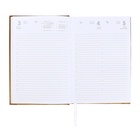 Ежедневник датированный 2025 года, А5, 176 листов, Attomex.Regent, обложка бумвинил, ляссе, блок 70 г/м2, золотой - фото 26533097