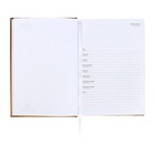 Ежедневник датированный 2025 года, А5, 176 листов, Attomex.Regent, обложка бумвинил, ляссе, блок 70 г/м2, золотой - фото 26533091