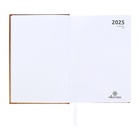 Ежедневник датированный 2025 года, А5, 176 листов, Attomex.Regent, обложка бумвинил, ляссе, блок 70 г/м2, золотой - фото 26533092