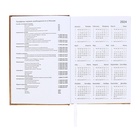 Ежедневник датированный 2025 года, А5, 176 листов, Attomex.Regent, обложка бумвинил, ляссе, блок 70 г/м2, золотой - фото 26533093