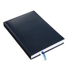 Ежедневник датированный 2024 года, А5, 176 листов, Attomex.Visa, обложка искусственная кожа, ляссе, блок 70 г/м2, тёмно-синий - Фото 2