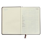 Ежедневник датированный 2024 A5 176 листов, deVENTE.Emblem, твёрдая обложка из искусственной кожи, ляссе, кремовый блок 70 г/м2, коричневый - фото 23397499