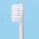 Электрическая зубная щётка "Универсальная", мод  LP-003, 19 х 2,5 см - фото 7838090
