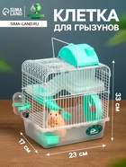 Клетка для грызунов «Пижон», 23×17×33 см, прозрачная, зелёное наполнение - Фото 1