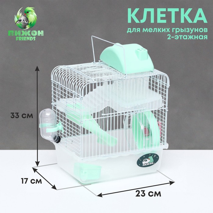 Клетка для грызунов "Пижон", 23 х 17 х 33 см, прозрачная, зелёное наполнение - Фото 1
