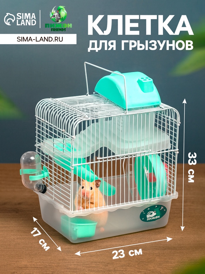 Клетка для грызунов «Пижон», 23×17×33 см, прозрачная, зелёное наполнение - Фото 1