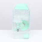 Клетка для грызунов «Пижон», 23×17×33 см, прозрачная, зелёное наполнение - Фото 2