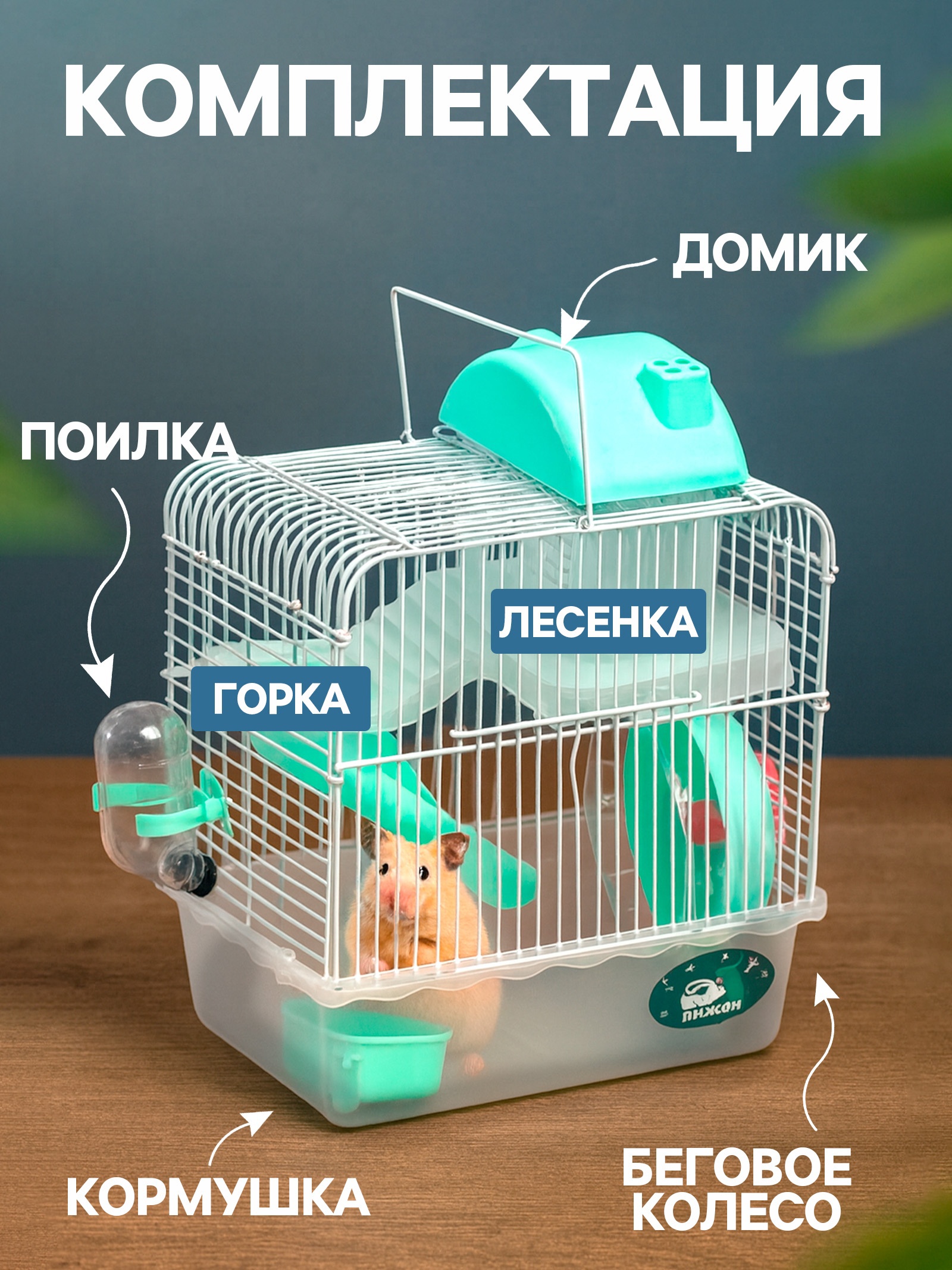 Наполнение клетки. Наполнение клетки