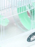 Клетка для грызунов «Пижон», 23×17×33 см, прозрачная, зелёное наполнение - Фото 4