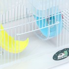 Клетка для грызунов «Пижон», 23×17×33 см, пластик, металл, прозрачная, голубое наполнение - Фото 3