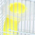 Клетка для грызунов «Пижон», 23×17×33 см, пластик, металл, прозрачная, голубое наполнение - Фото 4