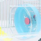 Клетка для грызунов «Пижон», 23×17×33 см, пластик, металл, прозрачная, голубое наполнение - Фото 7