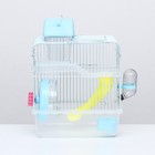 Клетка для грызунов «Пижон», 23×17×33 см, пластик, металл, прозрачная, голубое наполнение - Фото 9