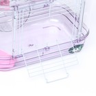 Клетка для грызунов с наполнением, 32 х 21 х 25 см, розовая 9724439