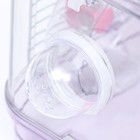Клетка для грызунов с наполнением, 32 х 21 х 25 см, розовая 9724439