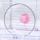 Клетка для грызунов с наполнением, 32 х 21 х 25 см, розовая 9724439