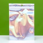 Пакет Zip-lock ПЭТ, иридисцентный, со сплошным окном, плоский, еврослот 15×22 см - Фото 3