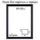 Рама для картин (зеркал) 40 х 50 х 1,3 см, пластиковая, Maria, чёрная - фото 320479510